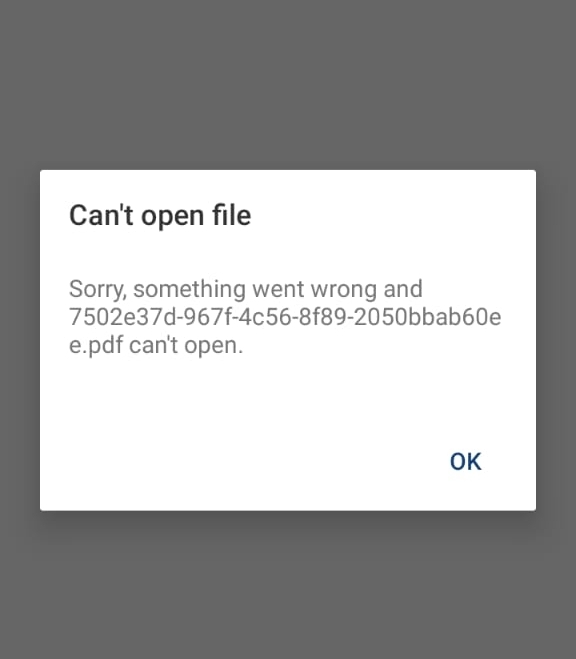 pdf cannot open