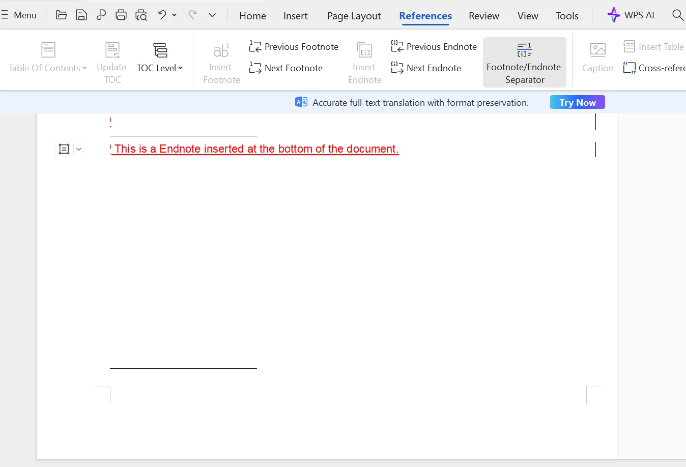 Screenshot of a WPS Office document with an endnote added at the end of the document, displaying the main text with a reference number linked to the endnote, which appears at the document's conclusion