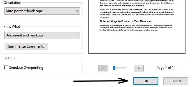 Print PDF with comments