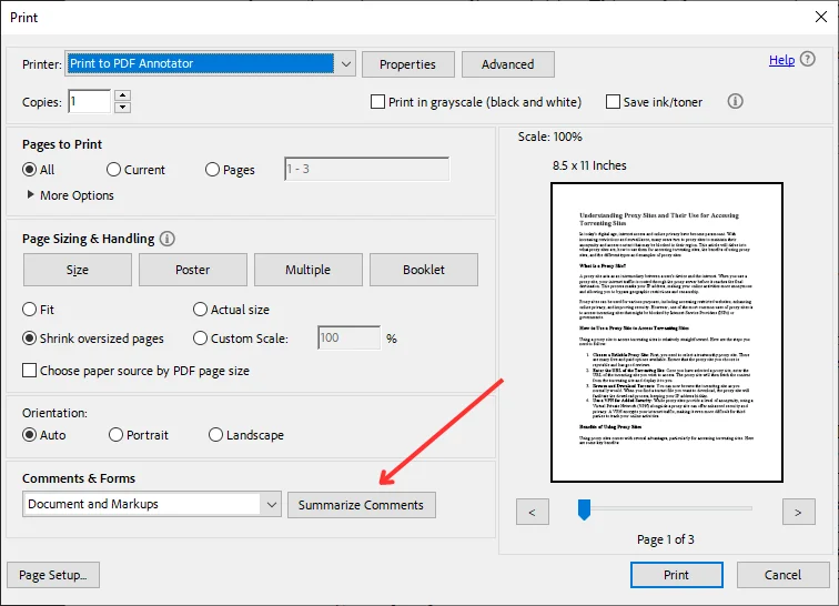 Print PDF with comments