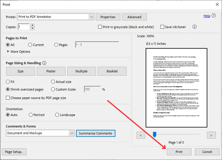 Print PDF with comments