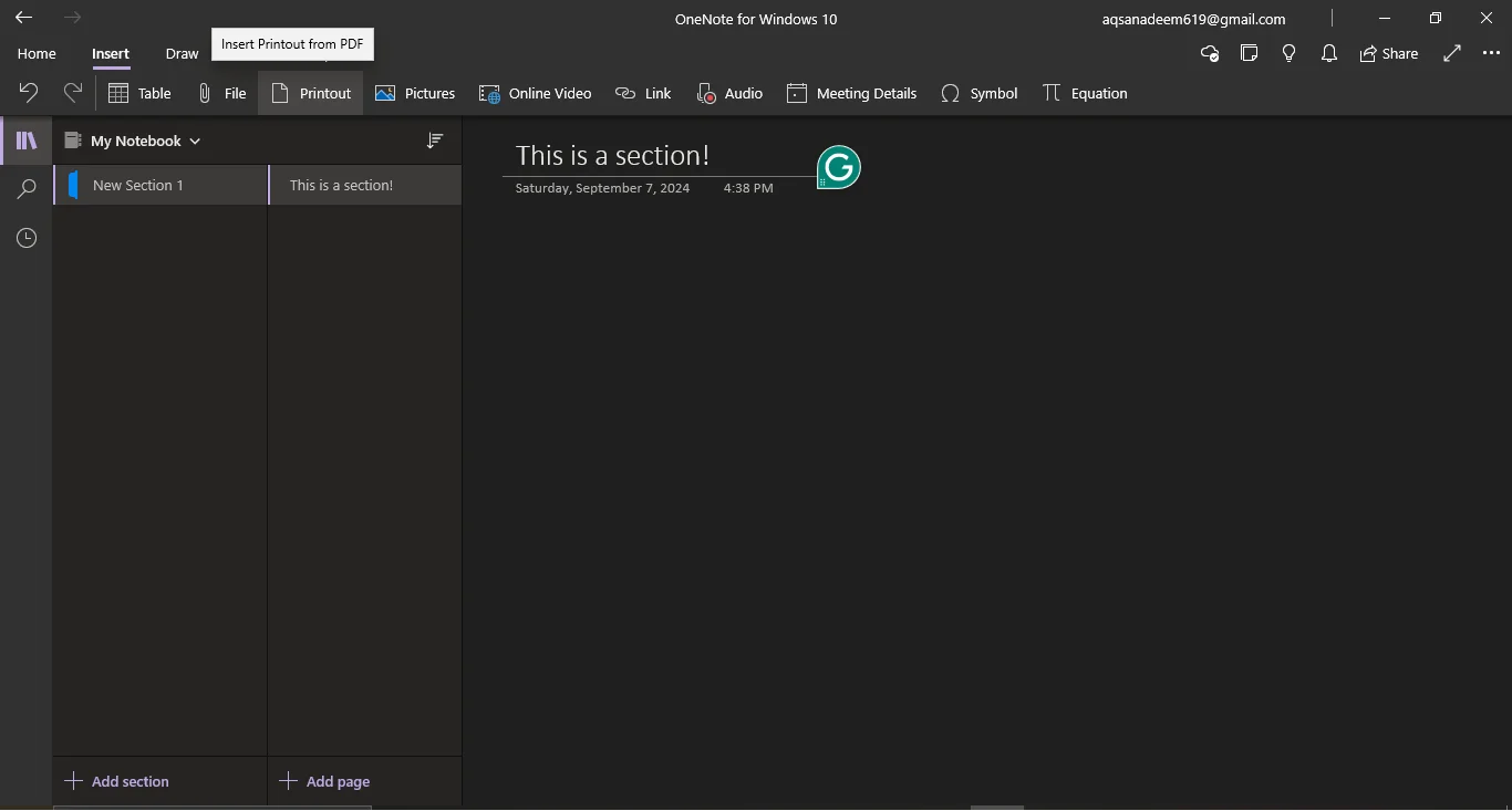 navigating the insert tab and selecting printout