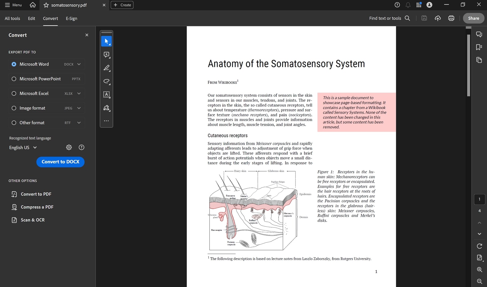 adobe acrobat pdf to word converter