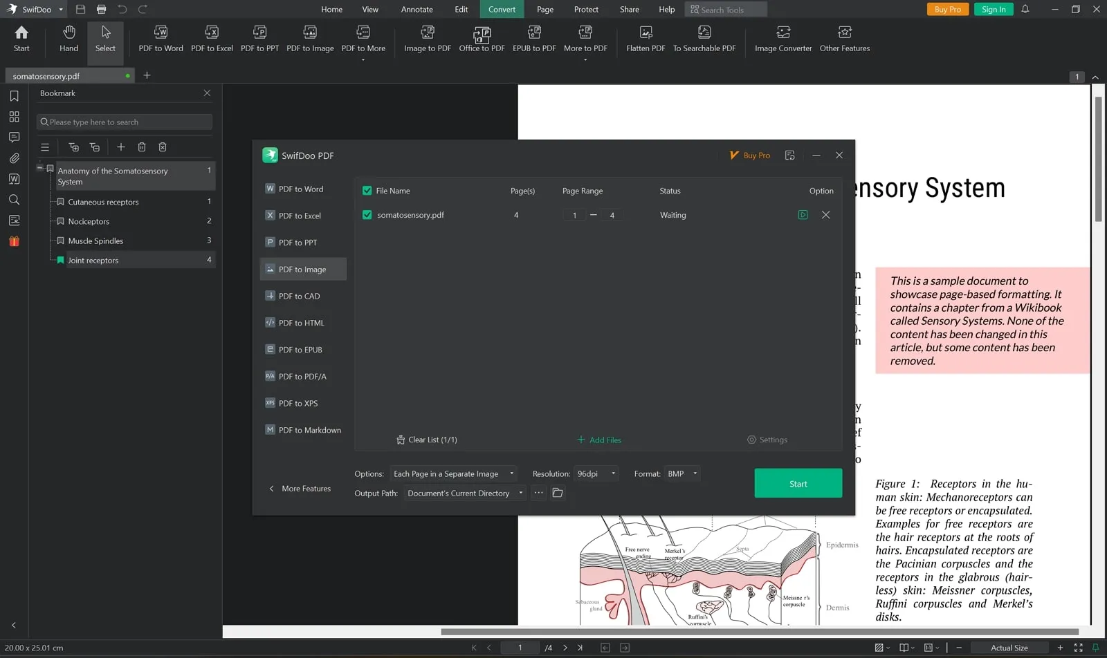 swifdoo pdf to bmp converter