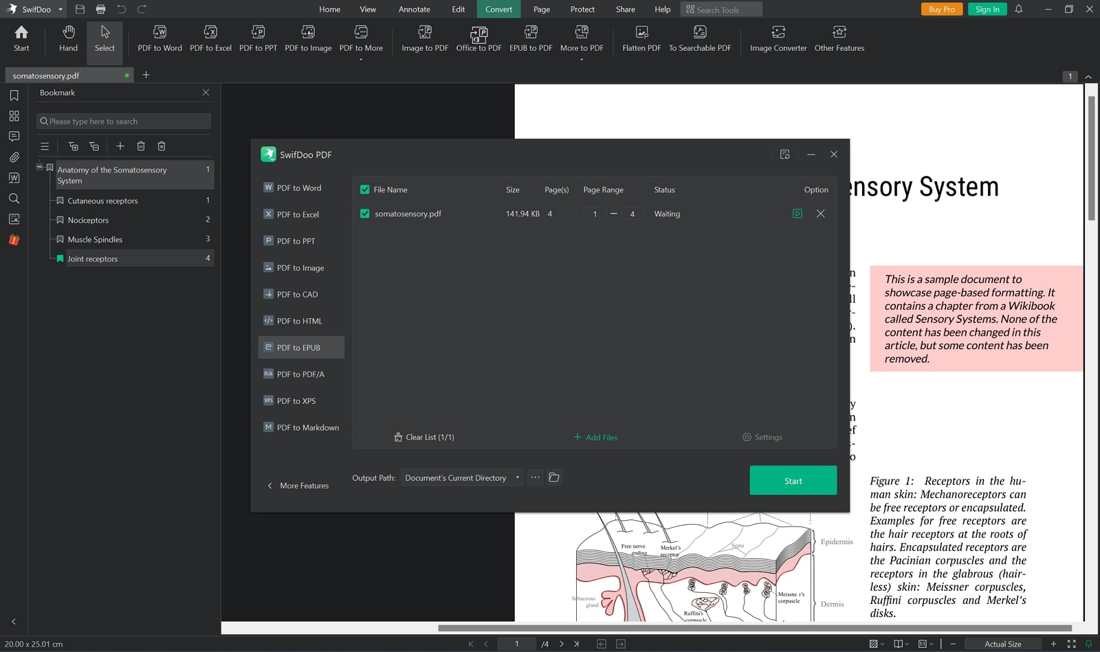 swifdoo pdf to epub converter