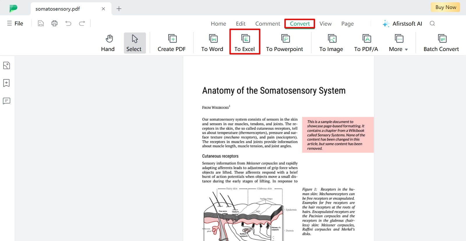 proceed to convert pdf file