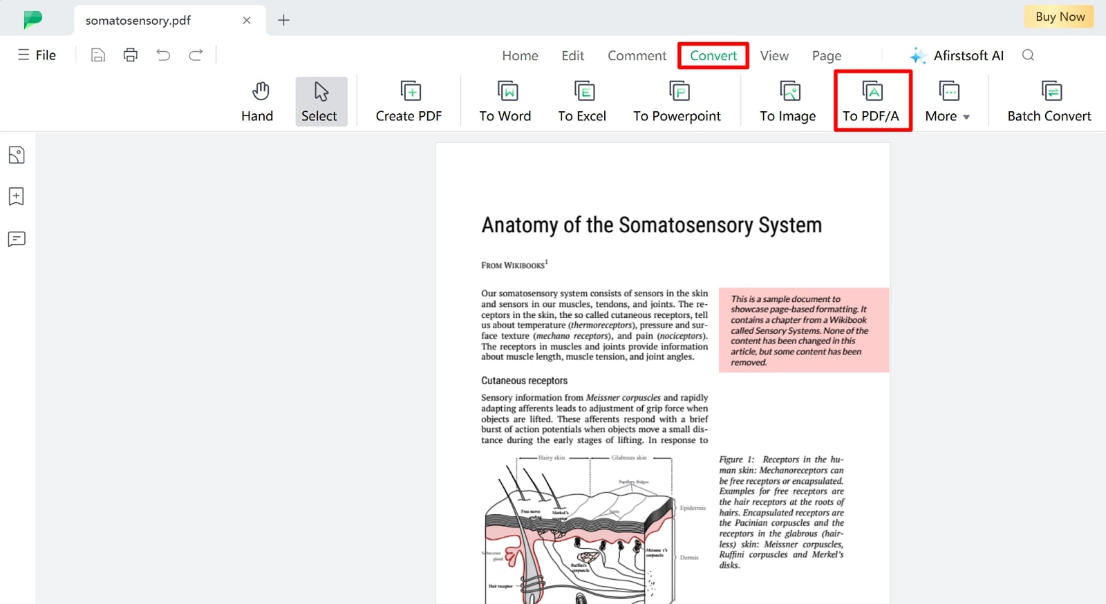 access conversion feature in afirstsoft