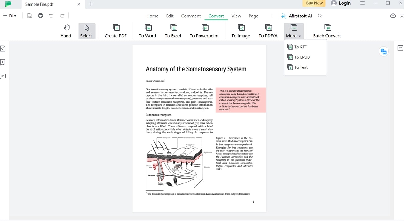 afirstsoft pdf to rtf converter