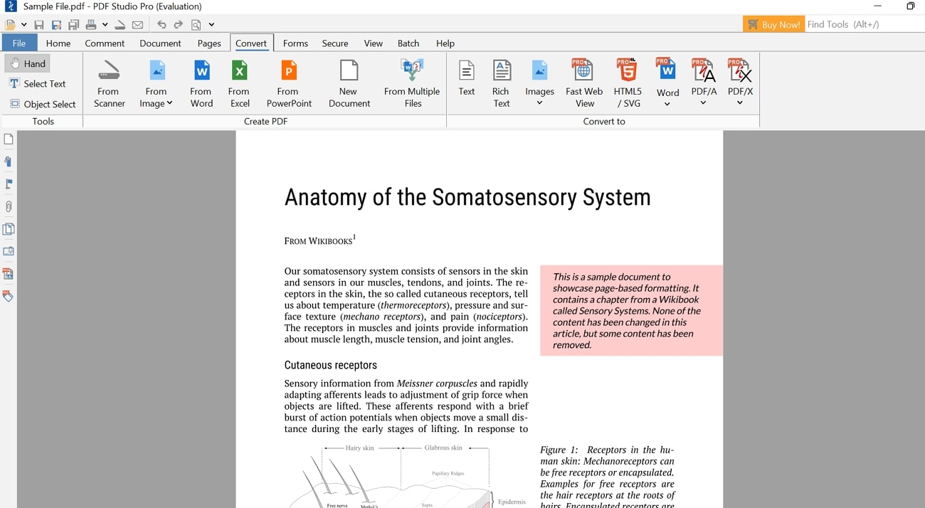 pdf studio pdf to rtf converter