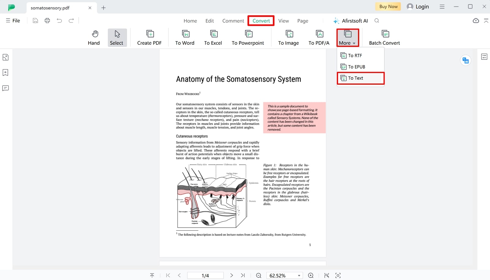 proceed to convert pdf to text