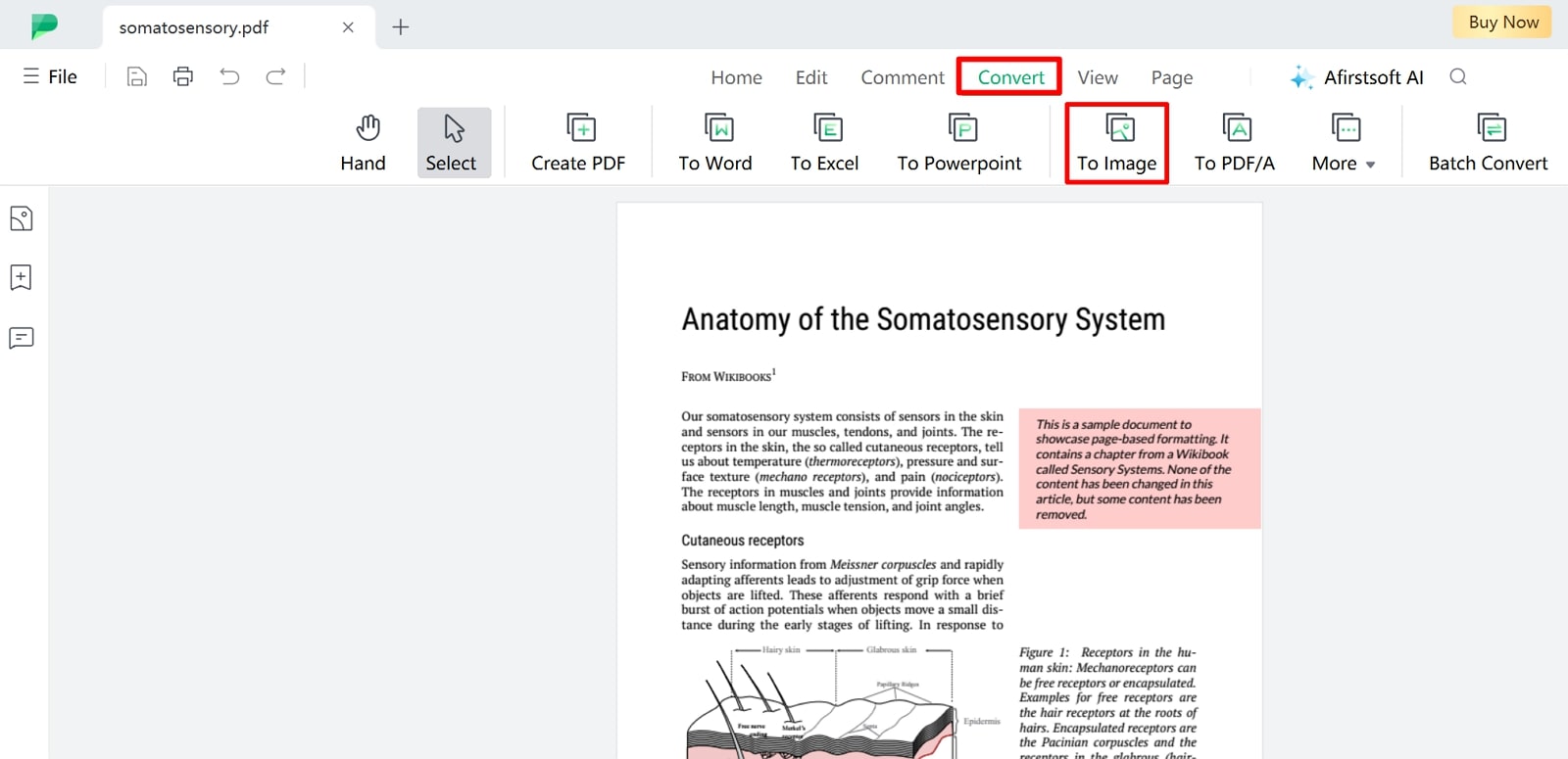 proceed to convert pdf to image