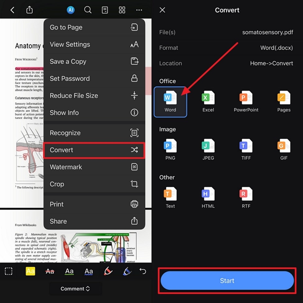 convert file to word pdfelement