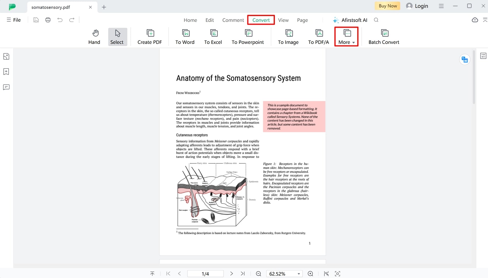 proceed to conversion feature afirstsoft