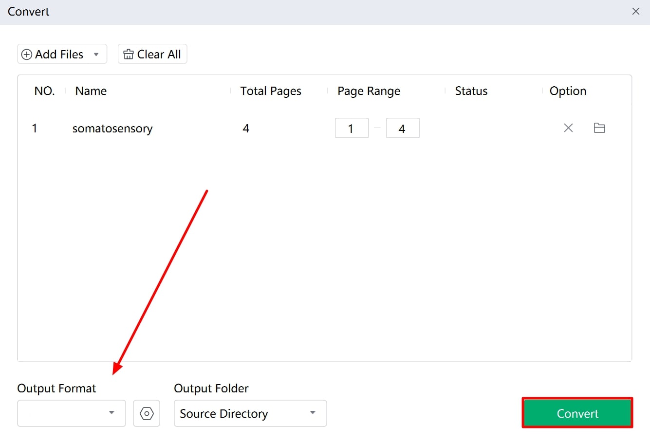 set conversion parameters and convert