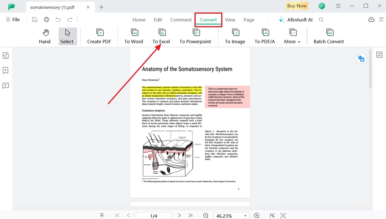 access convert feature in afirstsoft