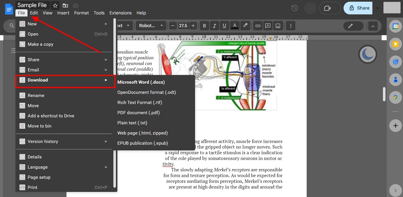 edit and download as word