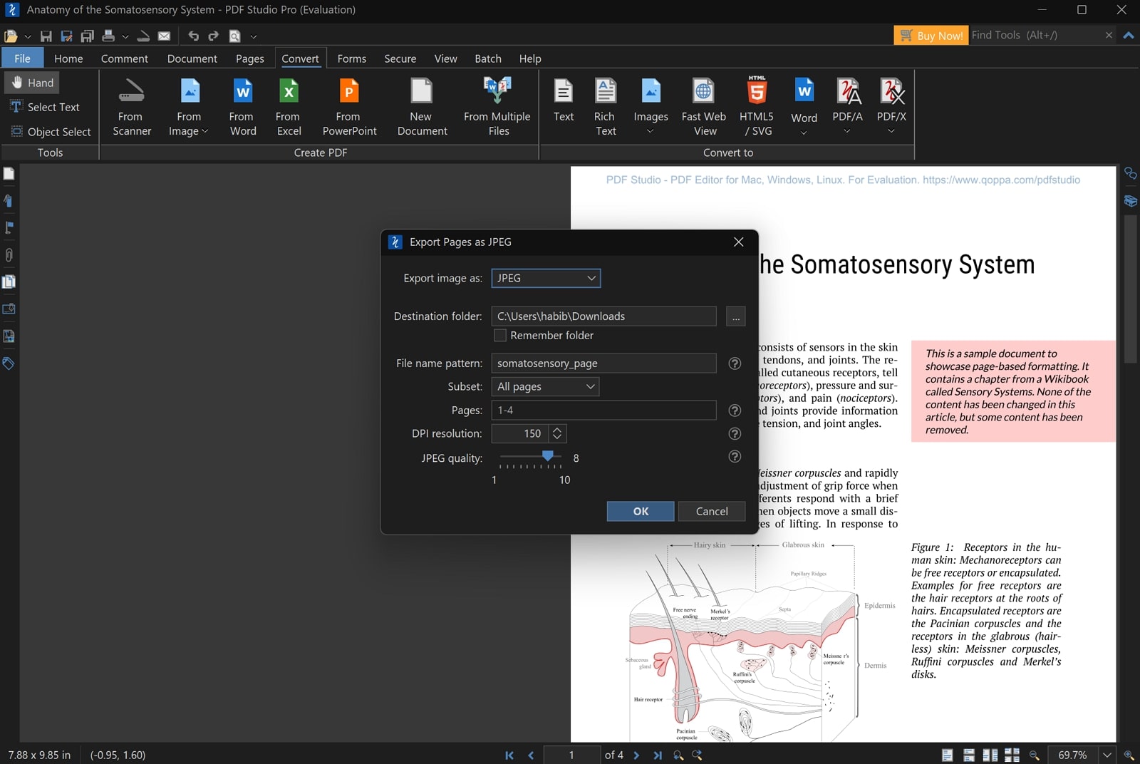 pdf studio pdf to jpeg converter