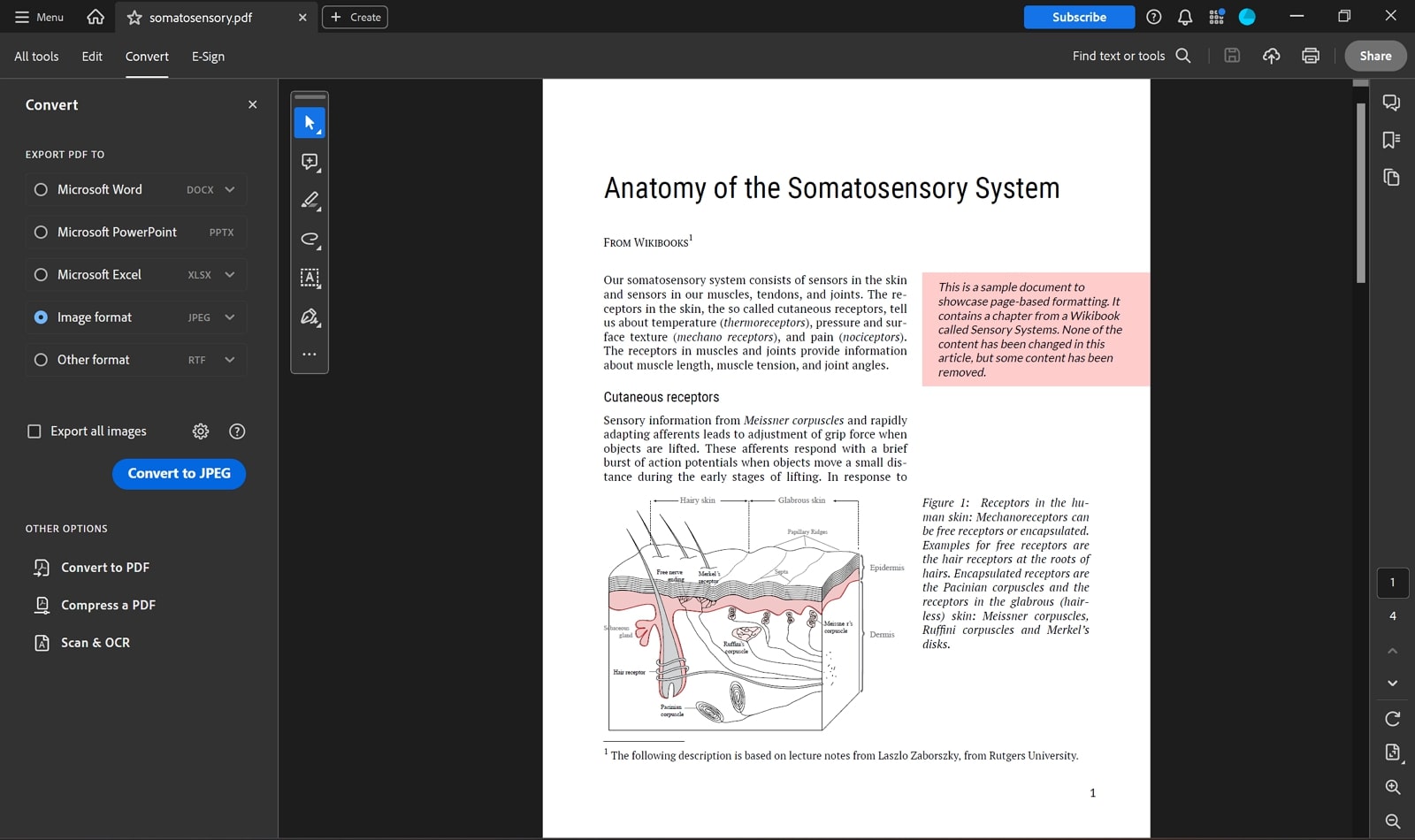 adobe acrobat pdf to jpg offline