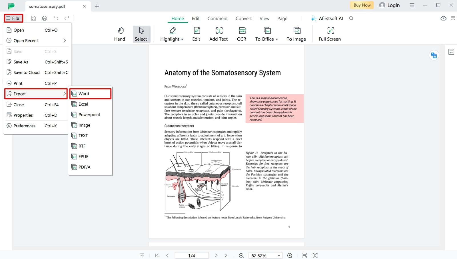 proceed to export pdf option