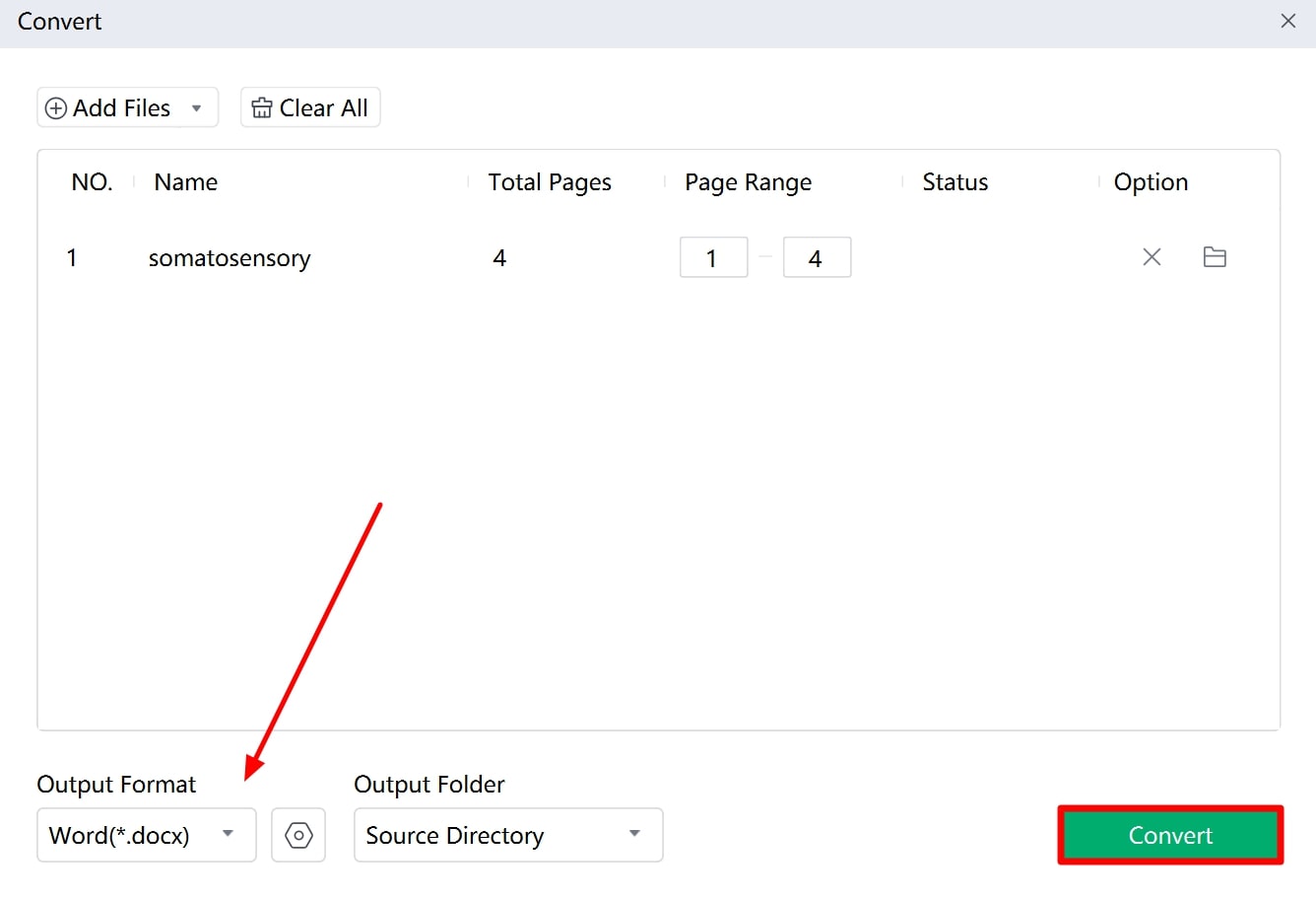 convert file to defined format