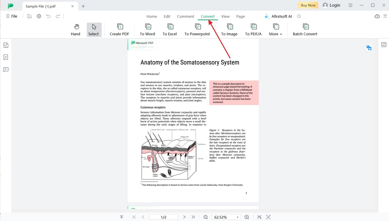 access convert pdf settings