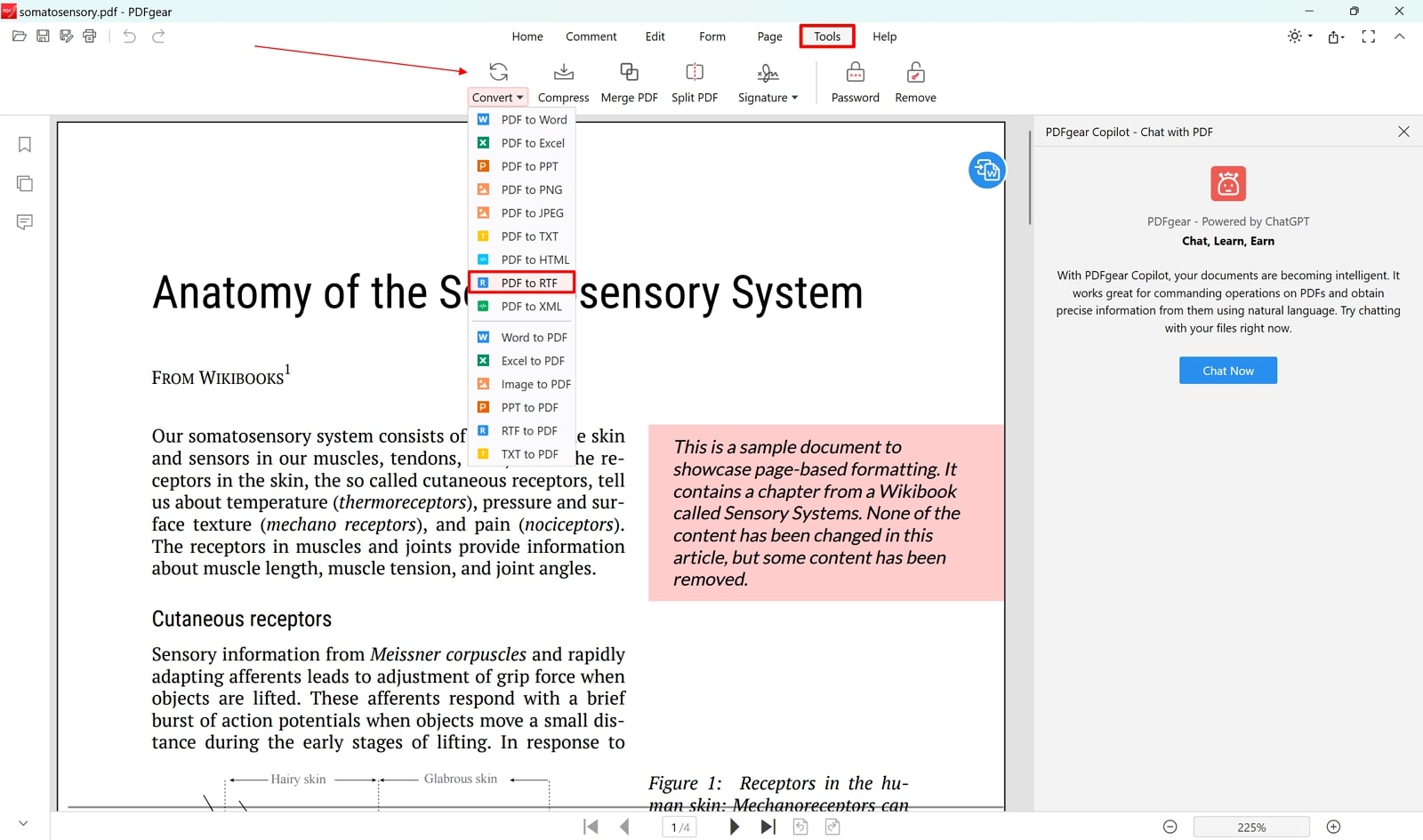 select format for conversion pdfgear