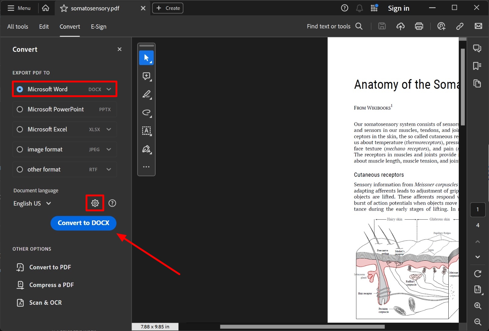 convert pdf to word adobe acrobat