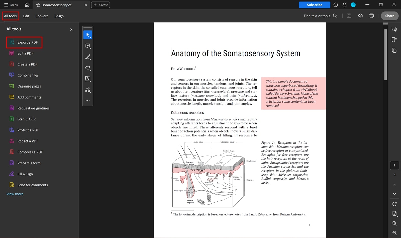 open pdf file on adobe acrobat