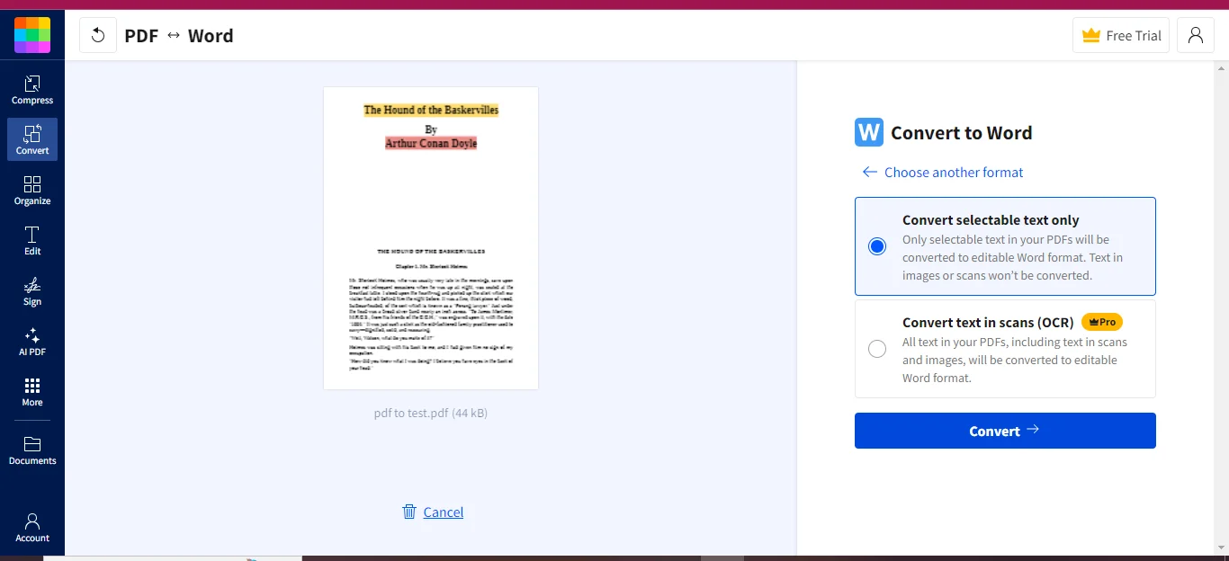 selecting convert to initiate the process