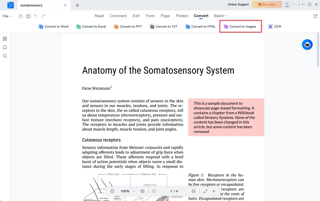 select the convert to images option