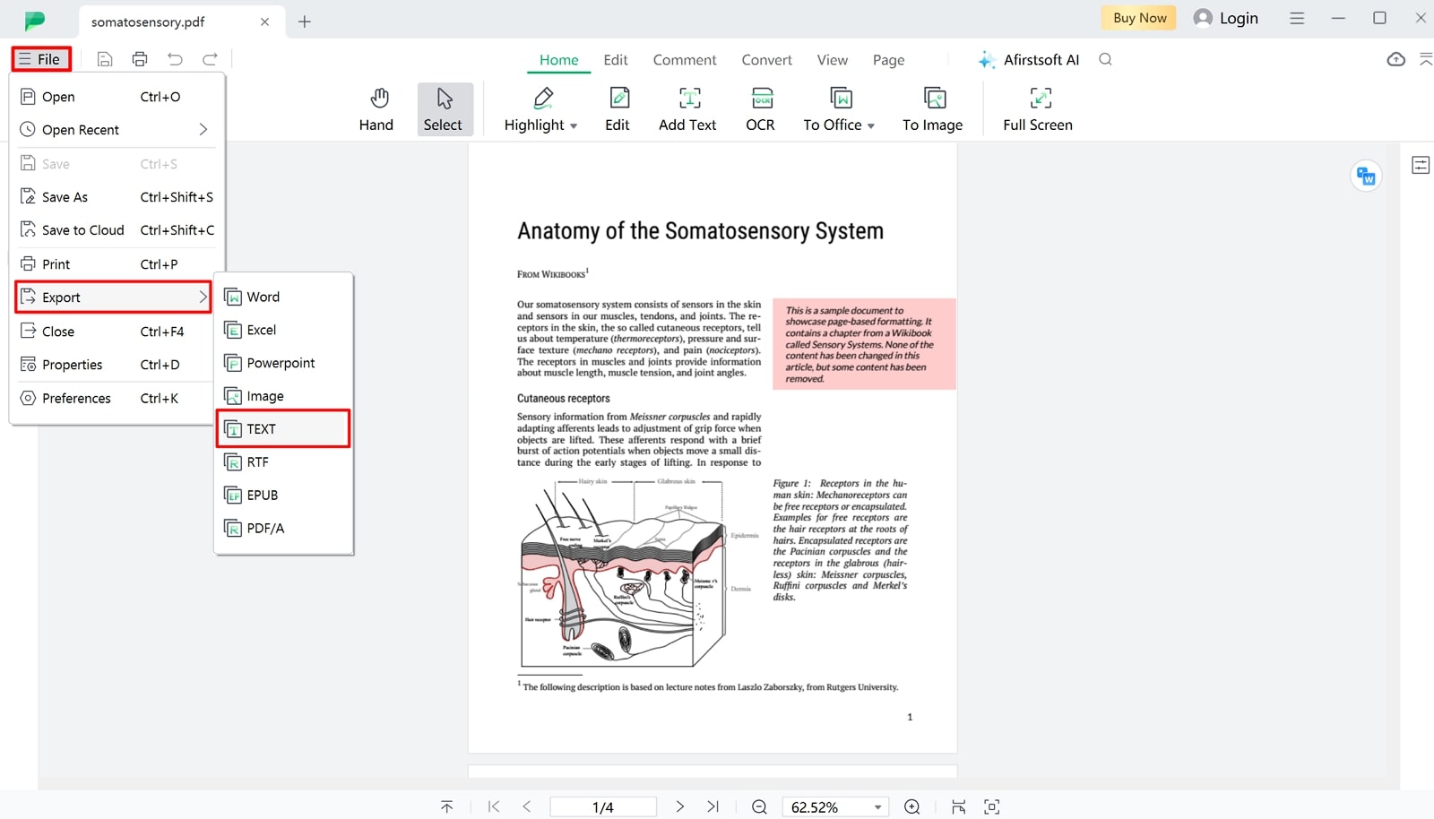 proceed to export pdf as text