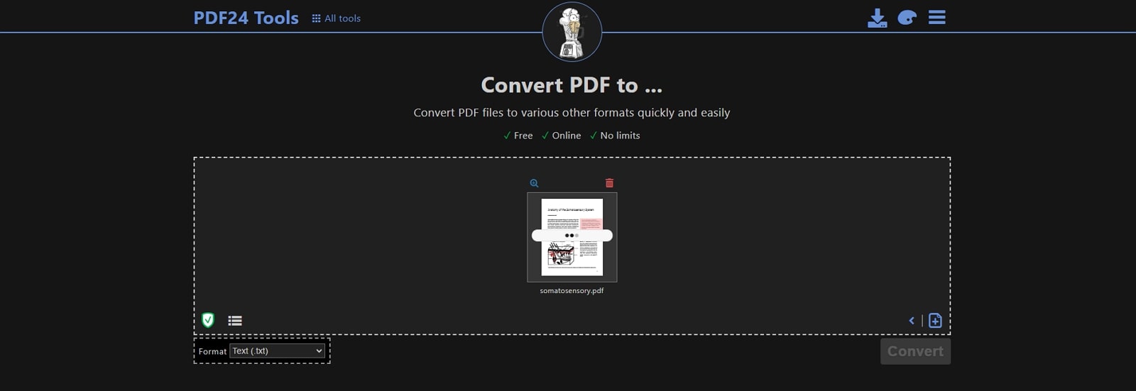 pdf24 pdf to text converter