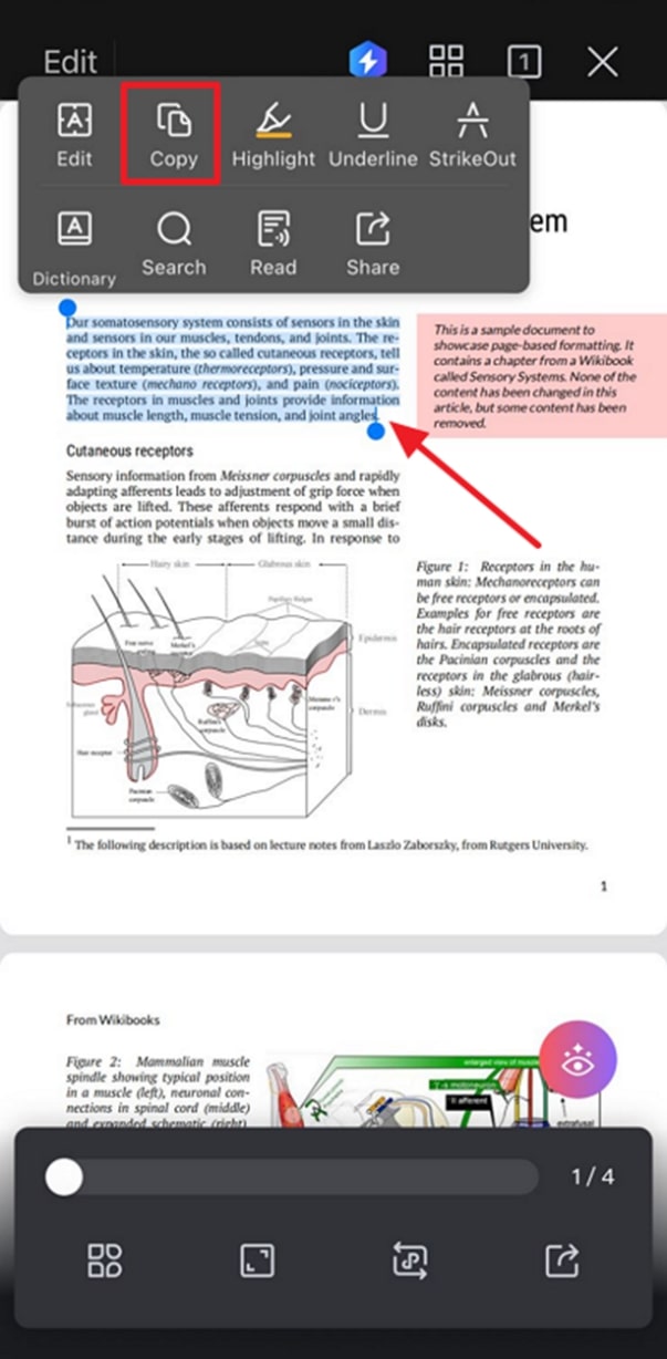 copy content from wps app