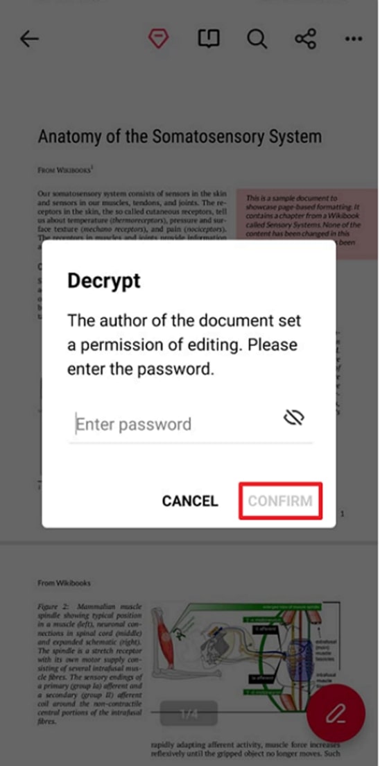 add password on pdf pro