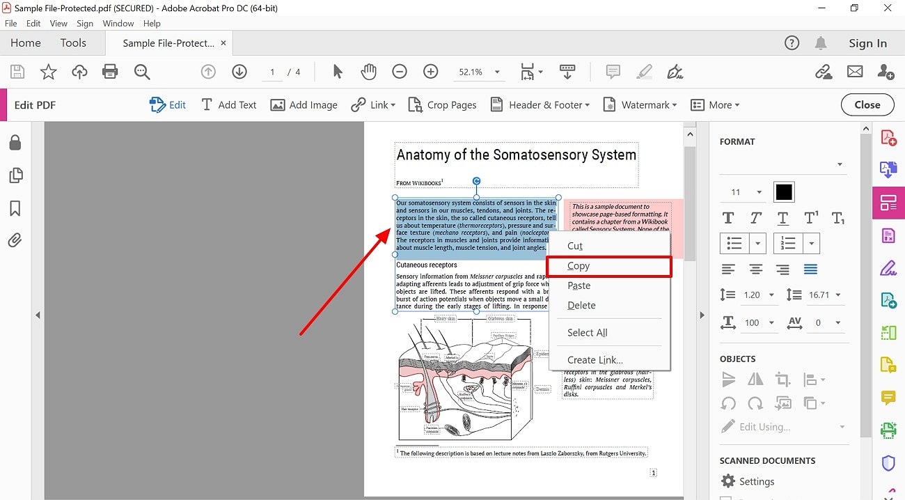 copy the content from pdf acrobat