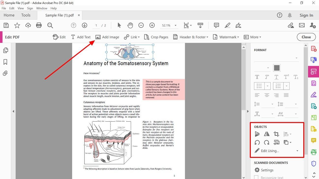 add image and adjust adobe acrobat