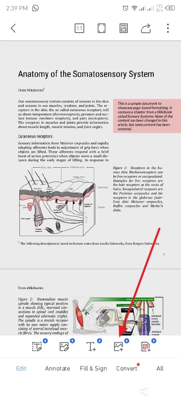 add image to pdf wps office