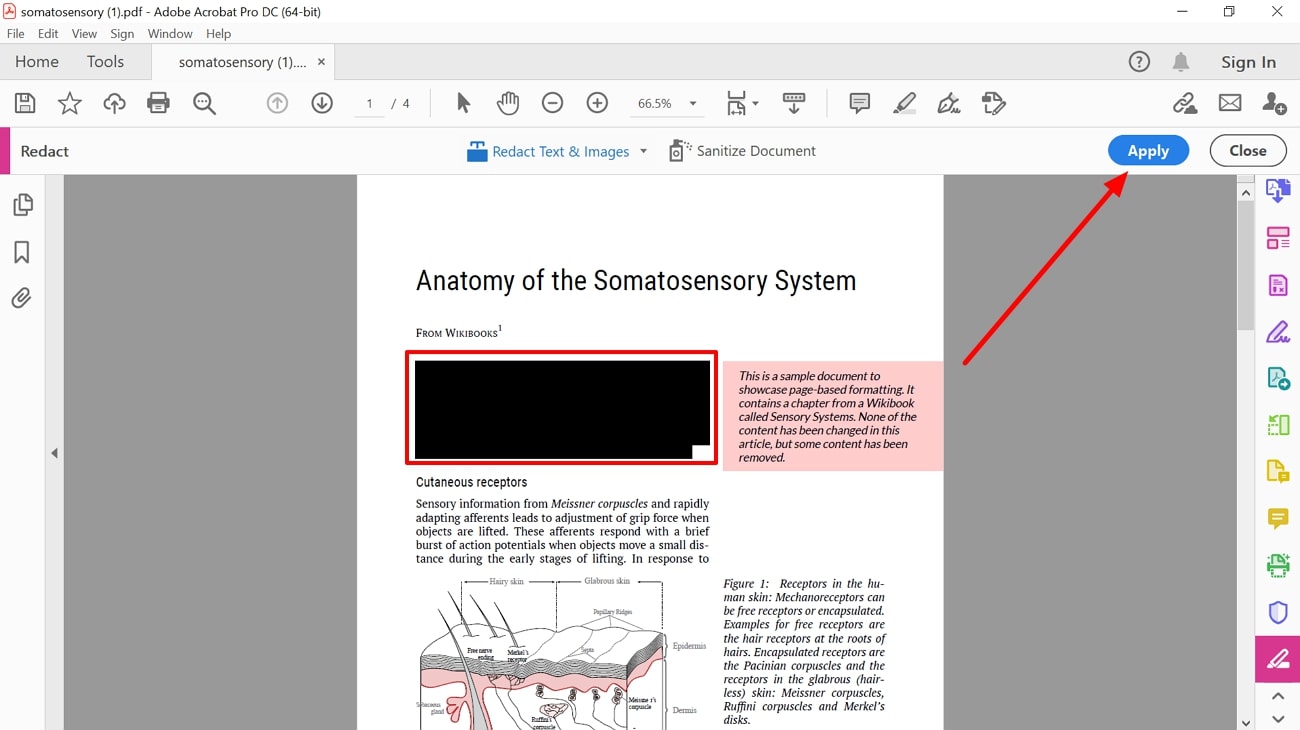 apply redaction and save adobe acrobat