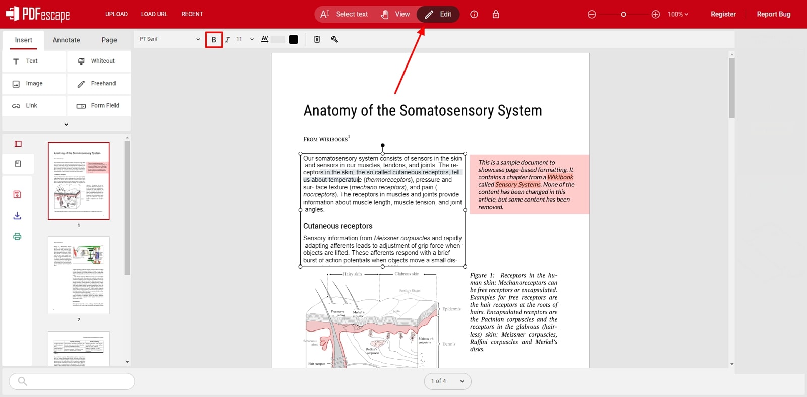 select text and bold pdfescape