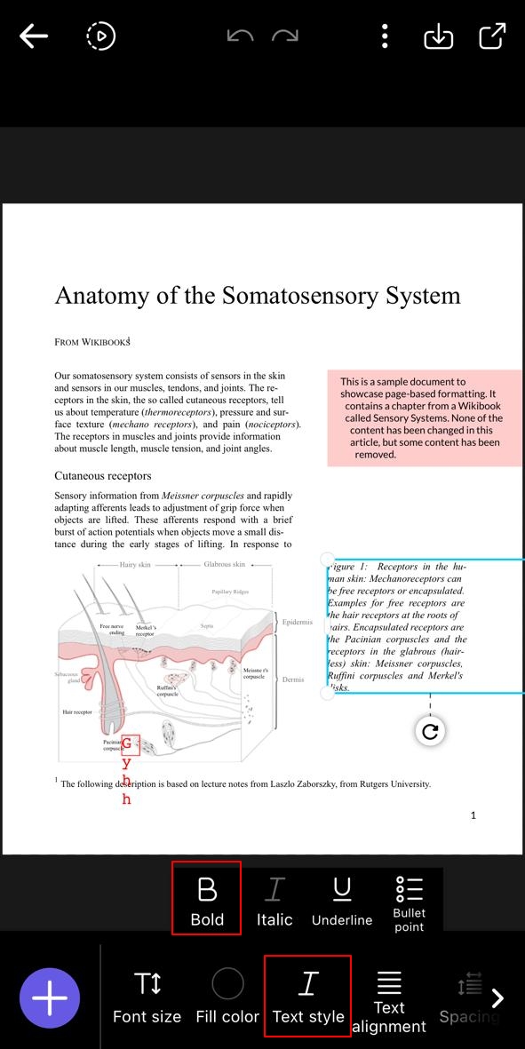 bold text in pdf desygner