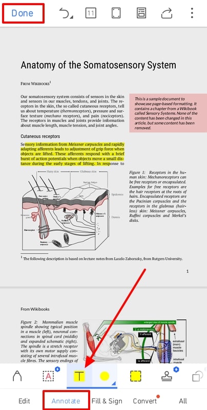 apply annotation on wps