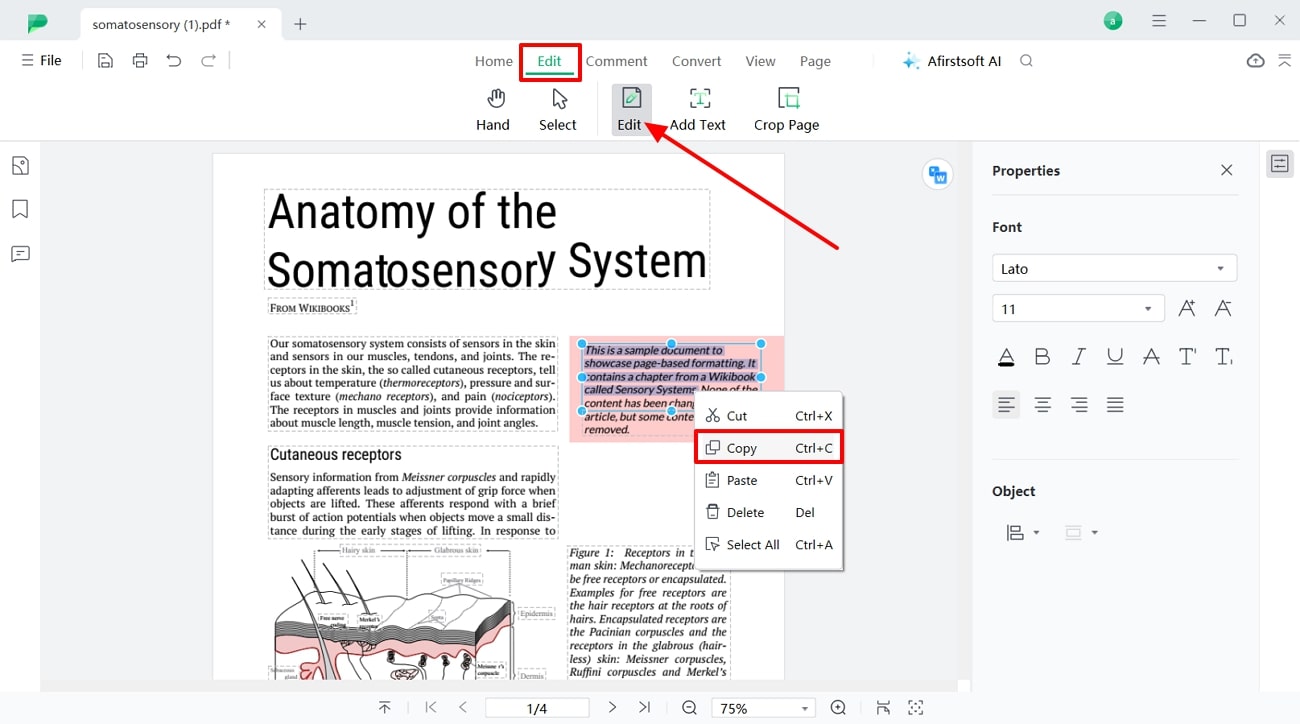 copy content within pdf