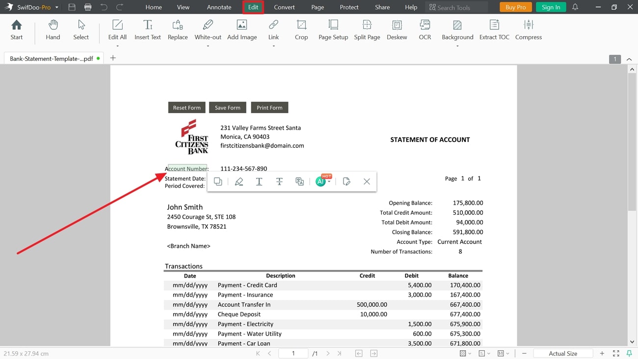 make edits in bank statement swifdoo