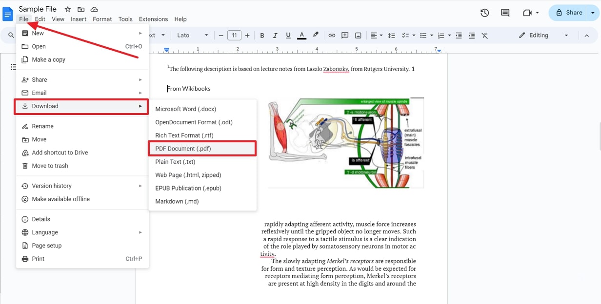 download file as a pdf