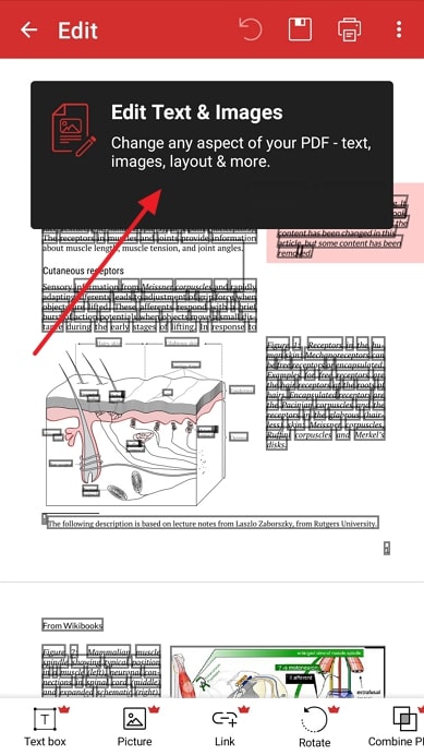 proceed to edit in pdf extra