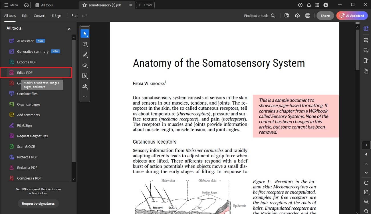 continue to enable pdf editing