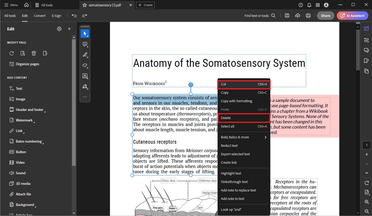 erase text within pdf acrobat