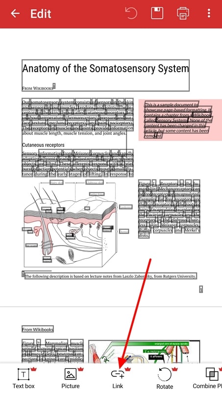 add link across pdf extra