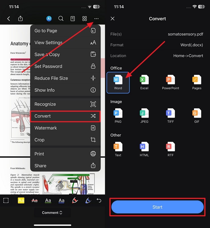 convert pdf file to word pdfelement