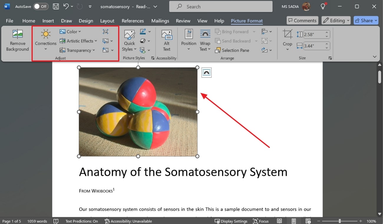 adjust image parameters in word